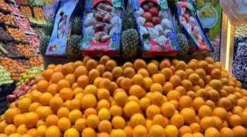 تغيرات أسعار الخضراوات والفاكهة في أسواق قنا مع وصول البرتقال لـ15 جنيها